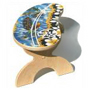 Surfin' Safari Stepping Stool